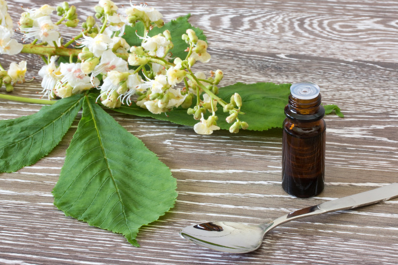 טיפול הוליסטי לריכוז – להכיר את פרחי הבאך כמענה טבעי לקשב
